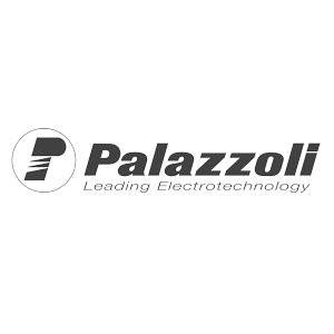 Palazzoli