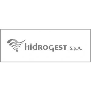 hidrogest